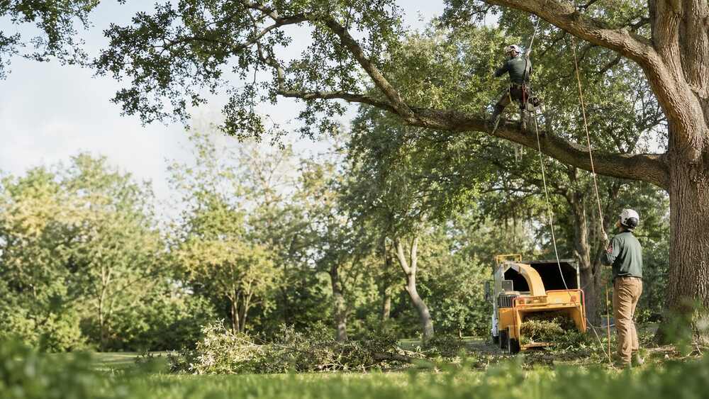 Tree Trimming field service team using The AC People operations platform